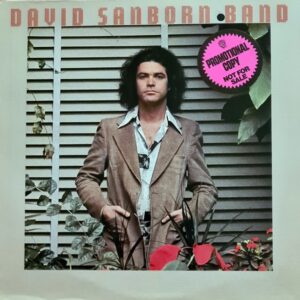 David Sanborn Band - Promise Me The Moon