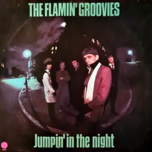 Flamin Groovies - Jumpin In The Night