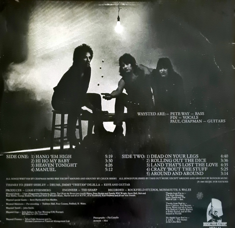 Waysted - The Good , The Bad , The Waysted - Image 2