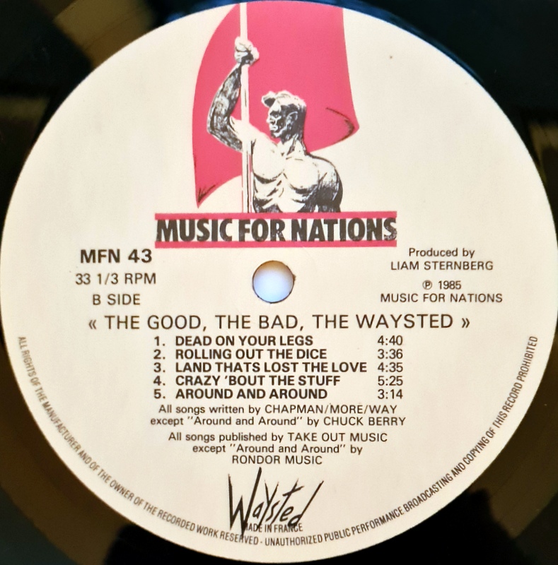 Waysted - The Good , The Bad , The Waysted - Image 4