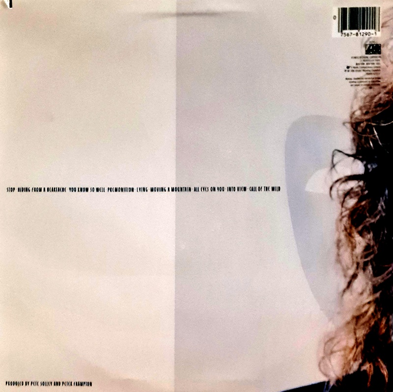 Frampton Peter - Premonition - Image 2