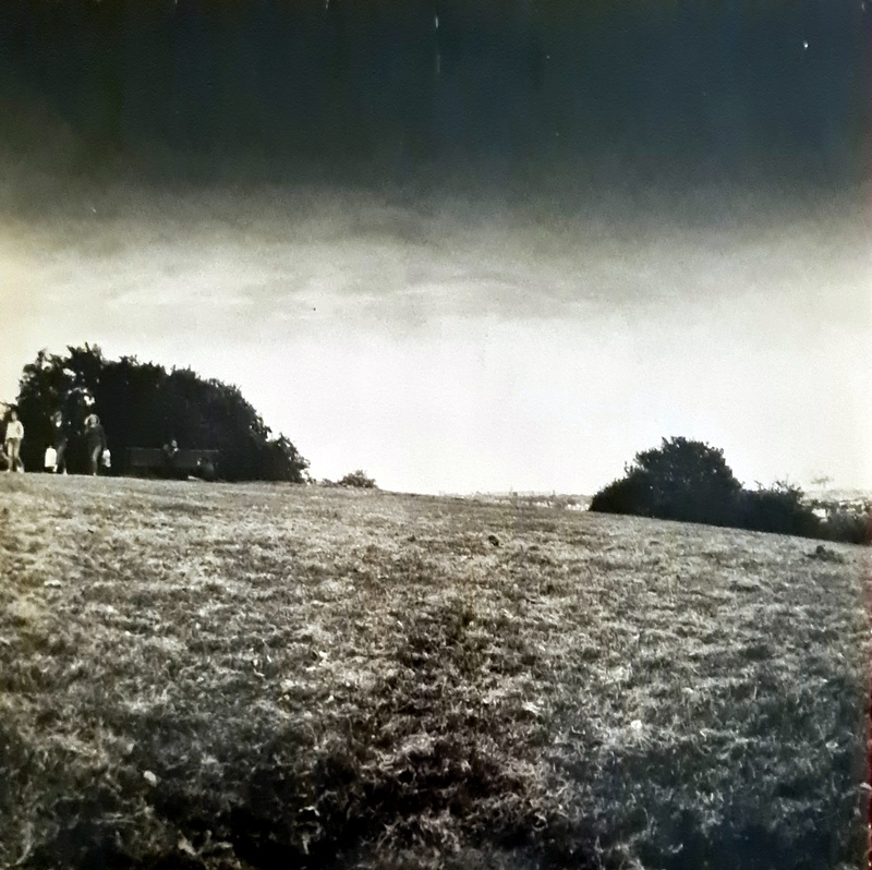 Madness - The Rise & Fall - Image 2